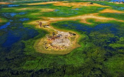 Experience It – The Okavango Delta