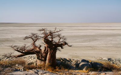 Experience It – Makgadikgadi Pans National Park: Salt Pans & Kalahari Desert