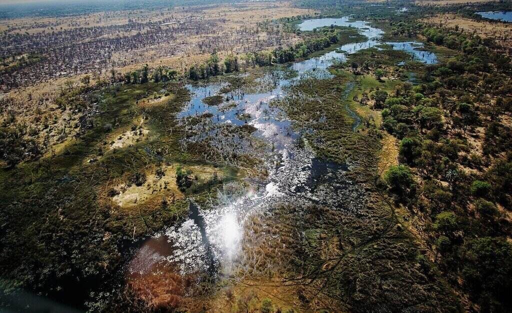 Experience It: Botswana’s Jewel: Livingstone’s Journey to the Okavango Delta