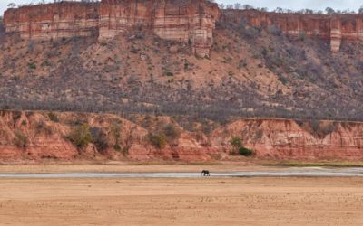 Experience It: Gonarezhou National Park – Dramatic Cliffs & Chequered History
